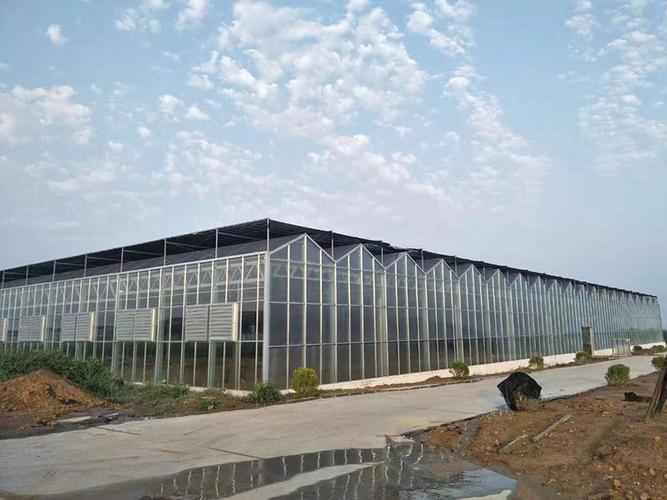 植物工廠的技術(shù)有哪些優(yōu)勢(shì)？